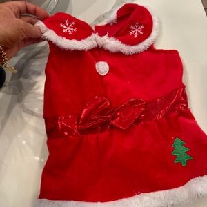 CHEWY DOG HOLIDAY COSTUME SIZE SMALL